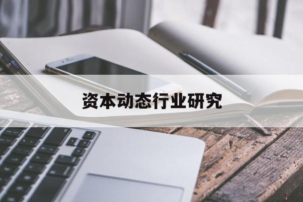 资本动态行业研究(资本动态行业研究现状)湛江市